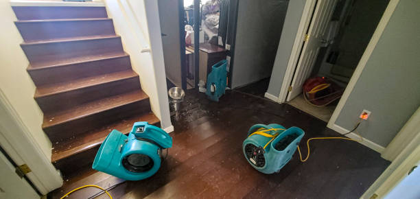 Best Water damage restoration process  in Medford, NY
