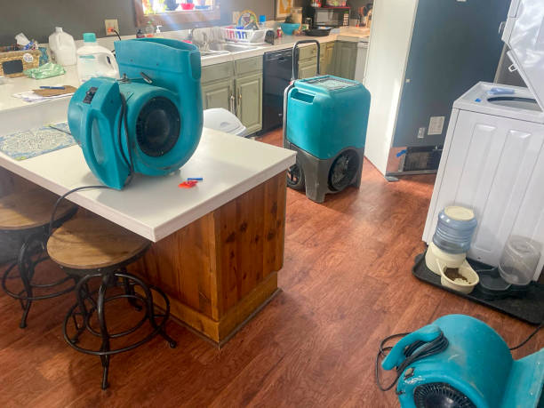 Best Residential water damage restoration  in Medford, NY