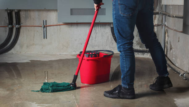 Best Water damage cleanup near me  in Medford, NY
