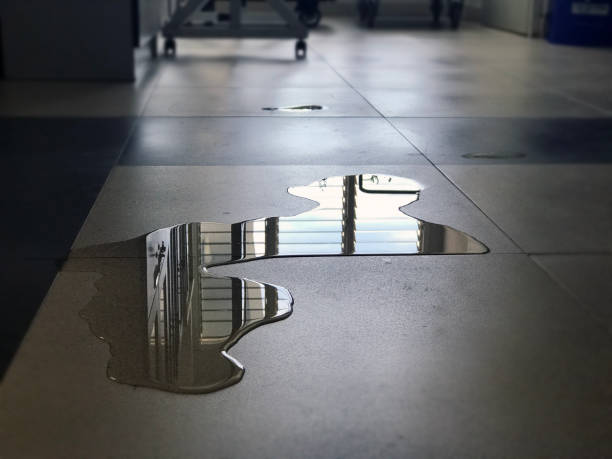 Best 24-hour water damage restoration  in Medford, NY