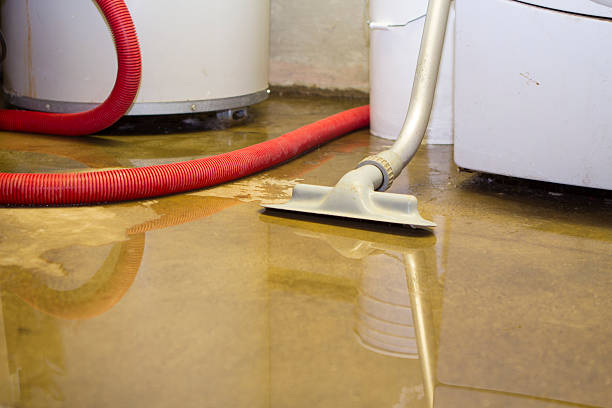 Best 24/7 water damage repair  in Medford, NY