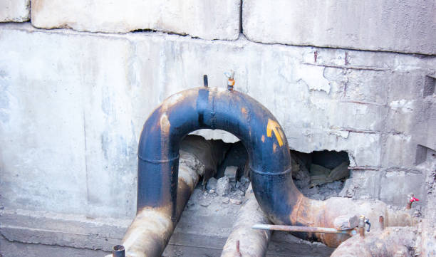 Best Water damage contractors near me  in Medford, NY
