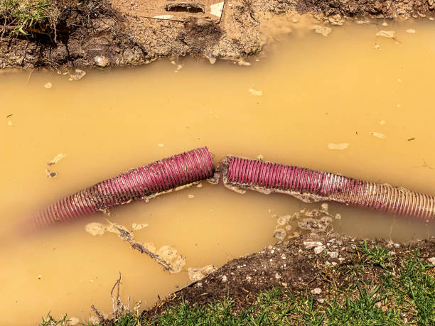 Best Water damage cleanup near me  in Medford, NY